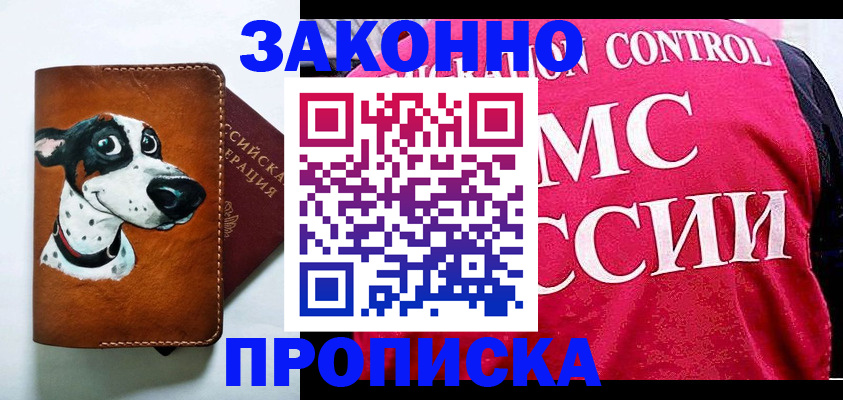 прописка 2025 в Сольцах