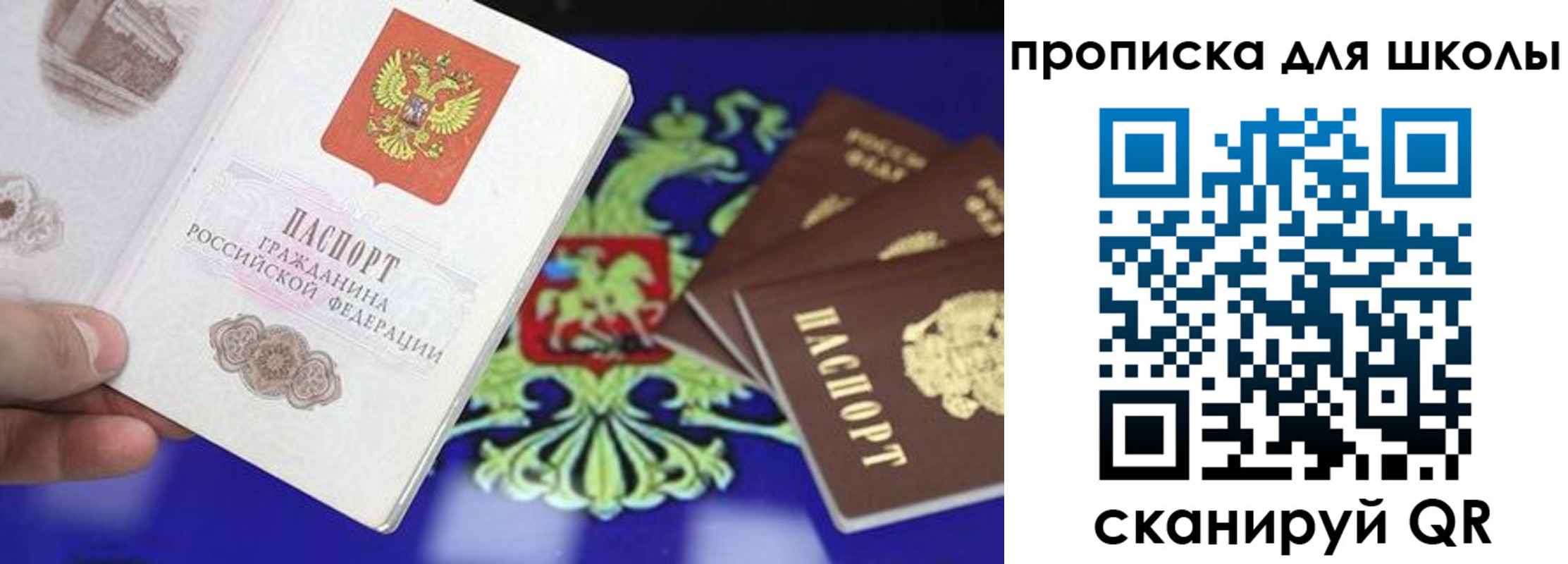 прописка в квартире в Сольцах