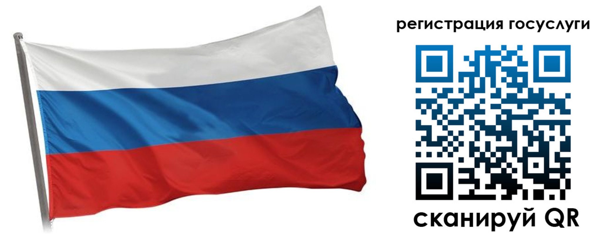 прописка штамп в Сольцах